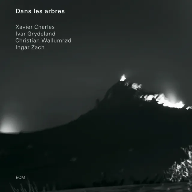 ECM Records Dans les arbres CD Improvisation Quartett