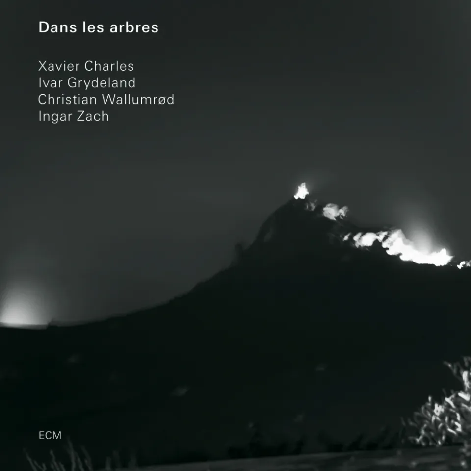 ECM Records Dans les arbres CD Improvisation Quartett