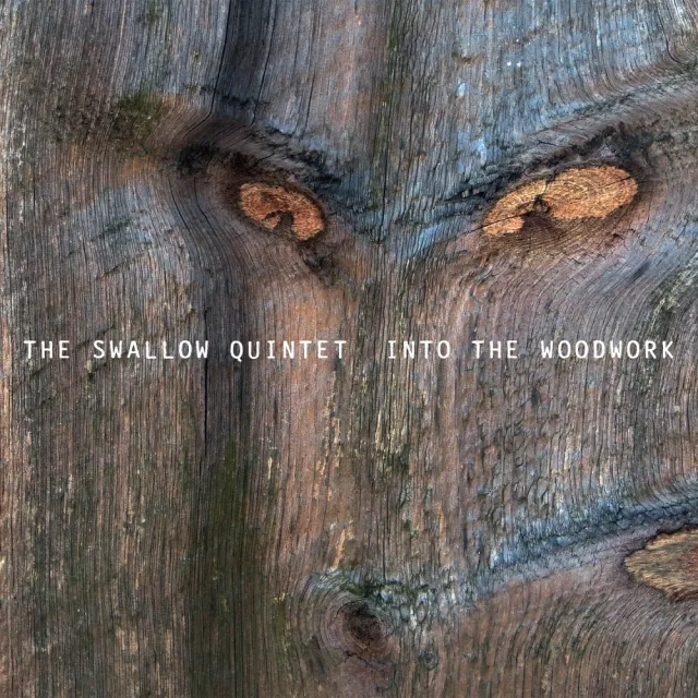 ECM Steve Swallow Into The Woodwork Vinyl-LP Jazz