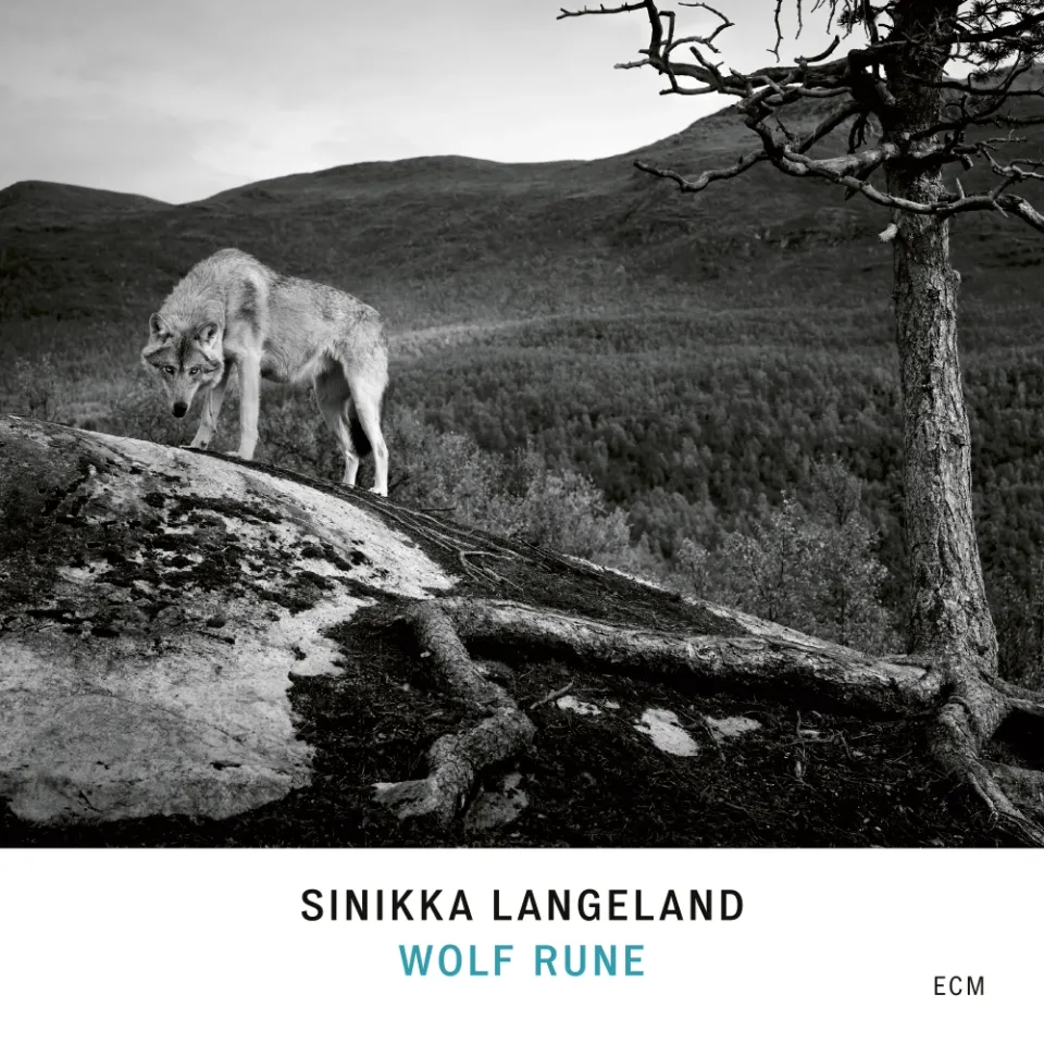 ECM Records Wolf Rune Sinikka Langeland CD Kantele