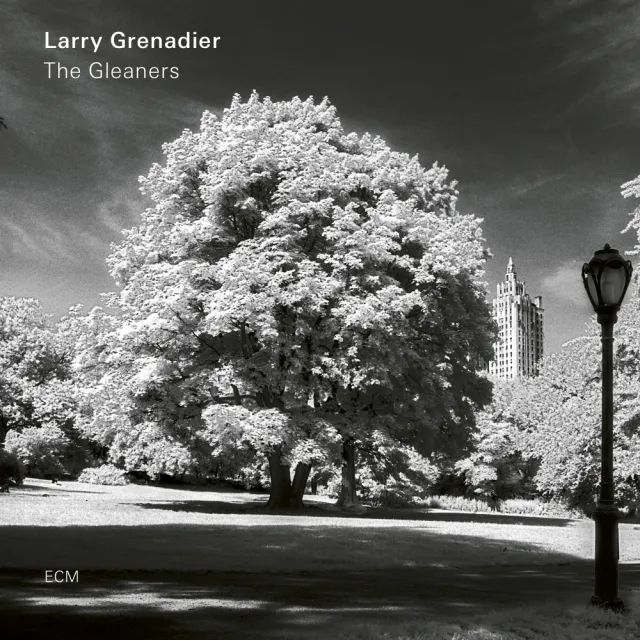 ECM Records The Gleaners CD – Larry Grenadier Solo-Bass
