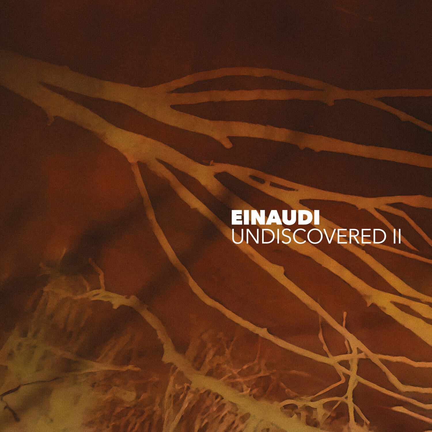Deutsche Grammophon Einaudi Undiscovered Vol 2 Vinyl 2LP