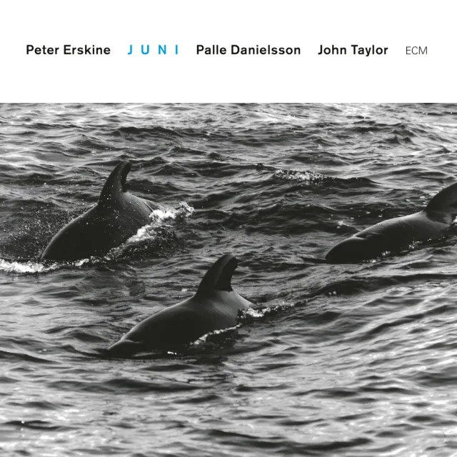 ECM Touchstones Juni Peter Erskine Trio CD Klaviertrio