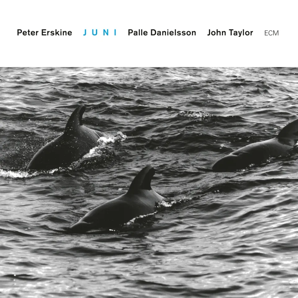 ECM Touchstones Juni Peter Erskine Trio CD Klaviertrio