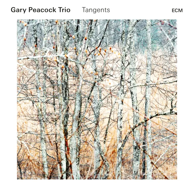 ECM Records Tangents Gary Peacock Trio CD Klavier