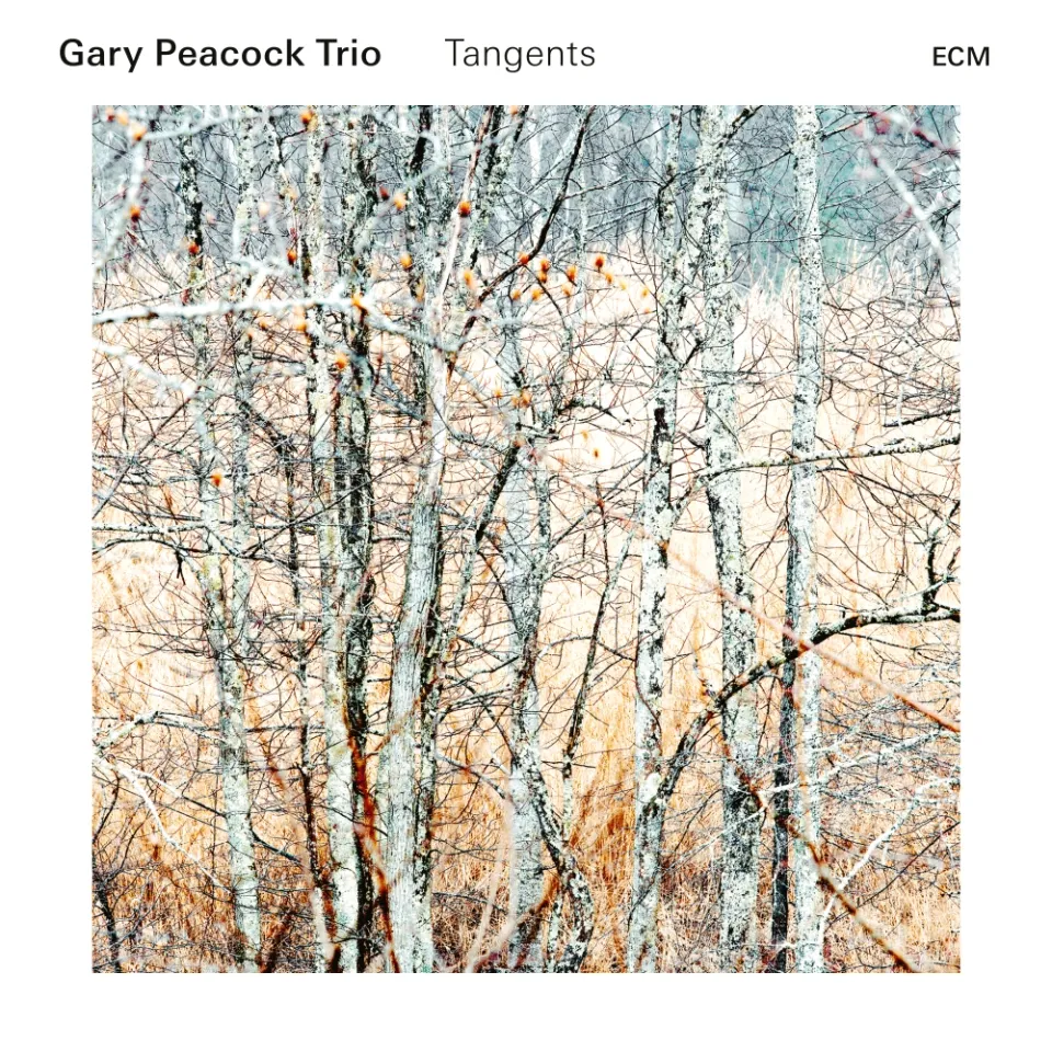 ECM Records Tangents Gary Peacock Trio CD Klavier
