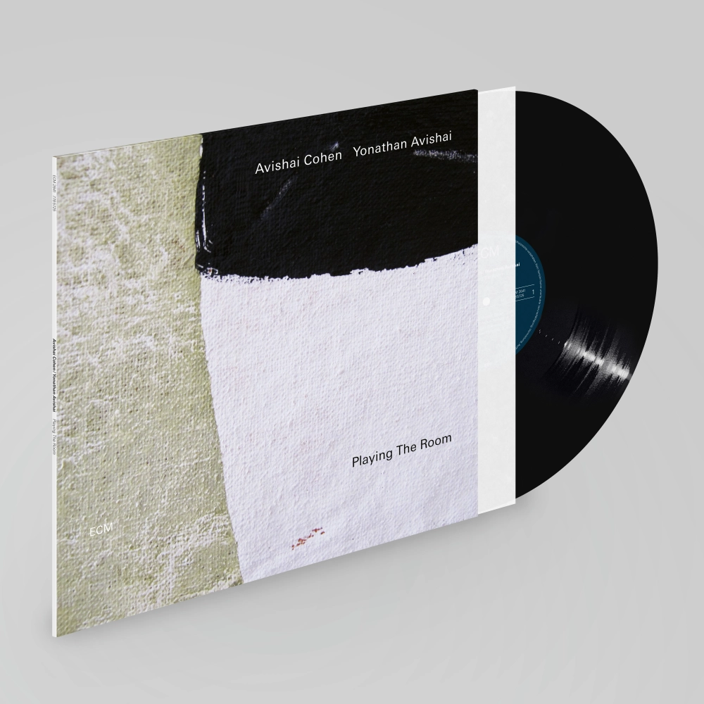ECM Records Playing The Room Vinyl LP Trompete-Klavier