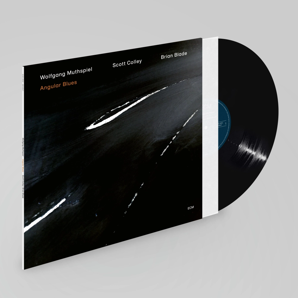 ECM Records Wolfgang Muthspiel Angular Blues CD Gitarre