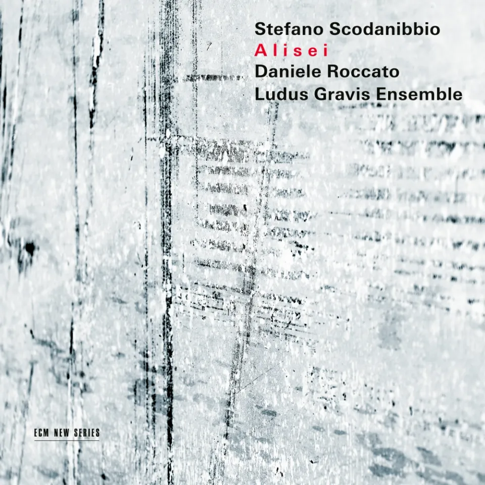ECM New Series Stefano Scodanibbio Alisei CD Bass