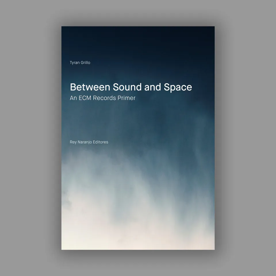 Tyran Grillo Between Sound and Space ECM Buch Taschenbuch