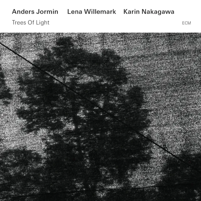 ECM Records Trees Of Light Vinyl LP Weltmusik