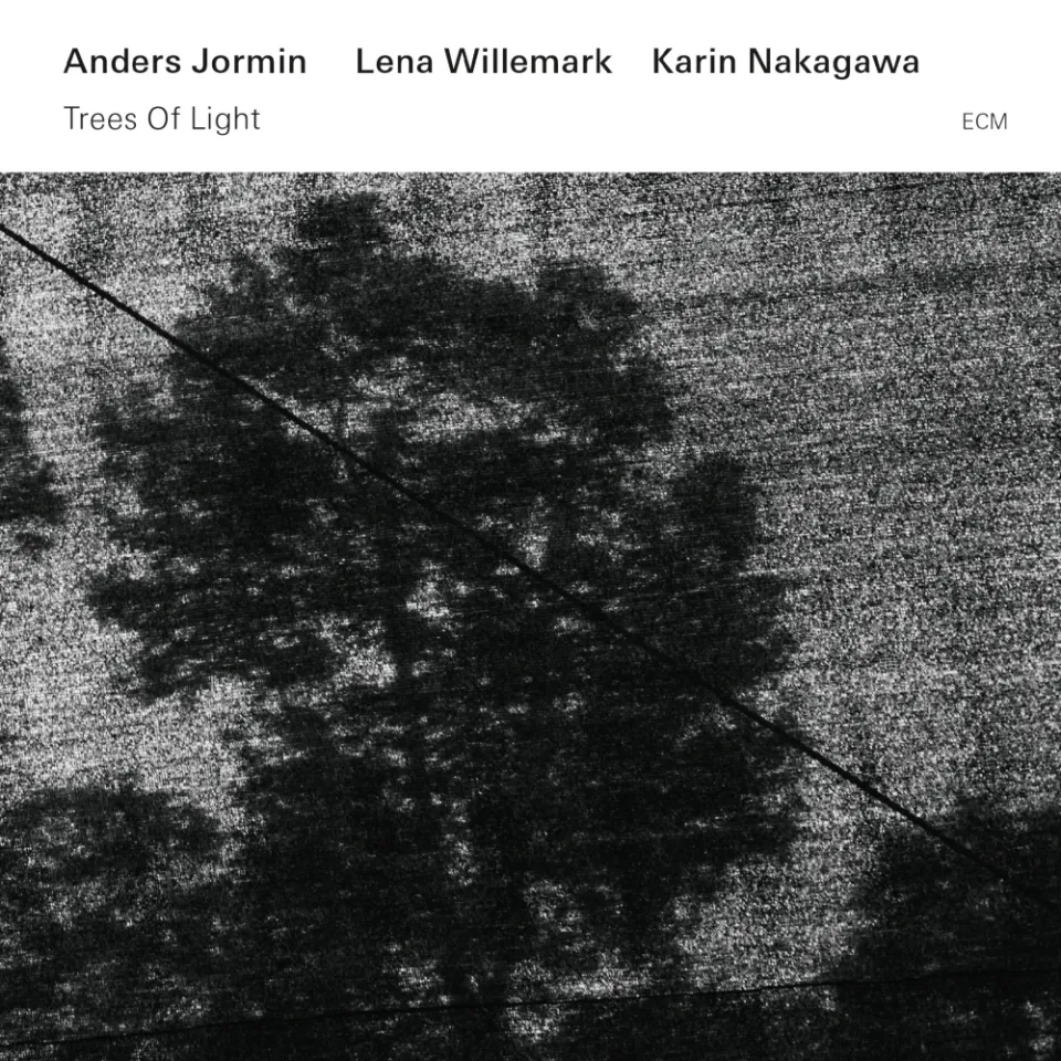 ECM Records Trees Of Light Vinyl LP Weltmusik