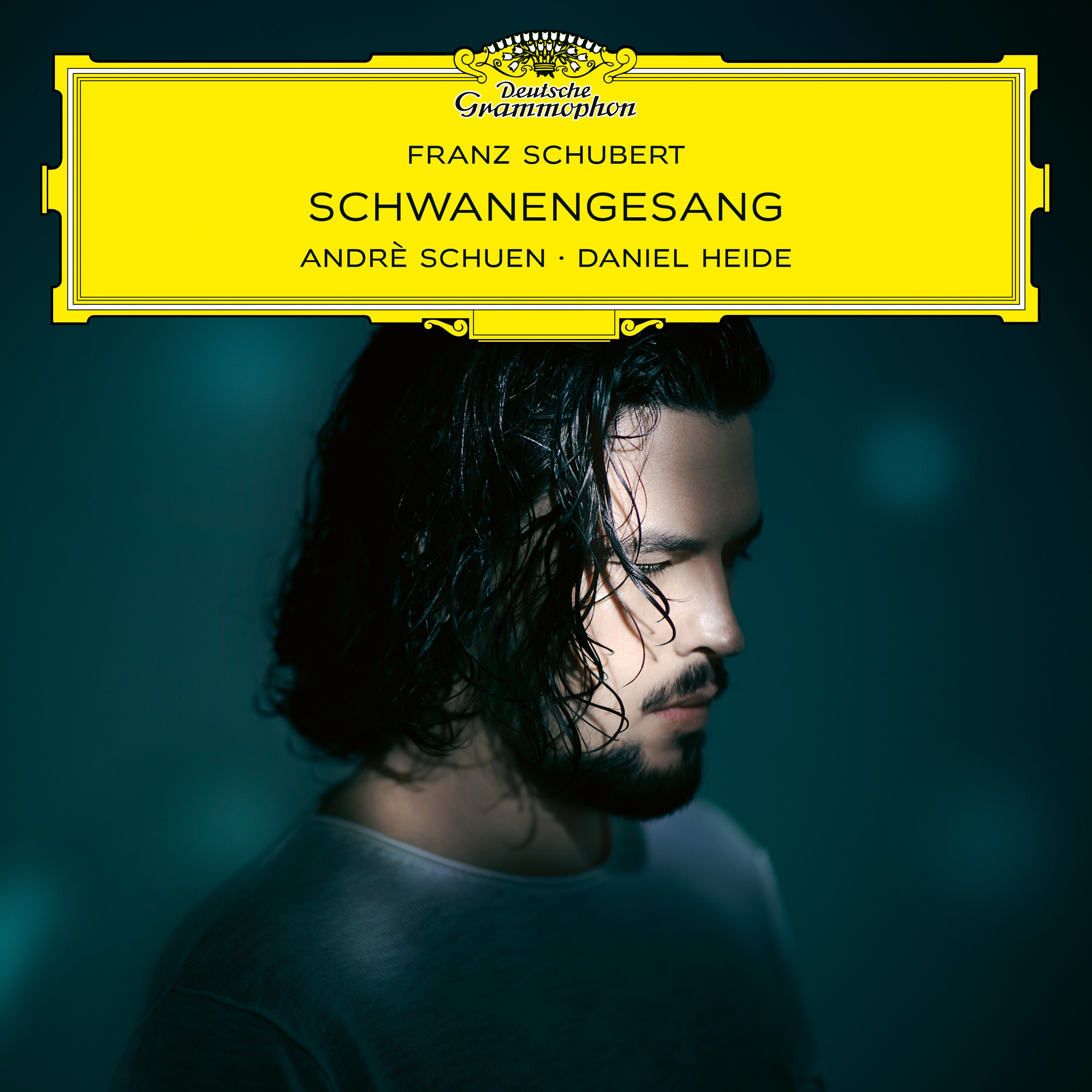 Deutsche Grammophon Schuen Schwanengesang Vinyl LP Lieder