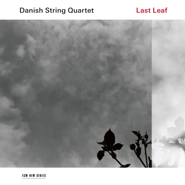 ECM Records Last Leaf Danish String Quartet CD Nordic Folk