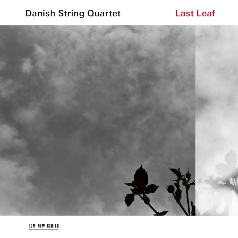 ECM Records Last Leaf Danish String Quartet CD Nordic Folk