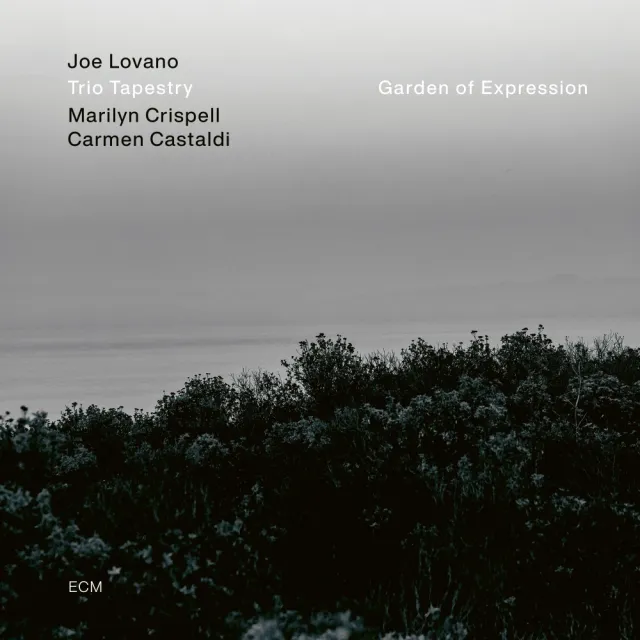 ECM Records Joe Lovano Garden of Expression Vinyl LP Trio