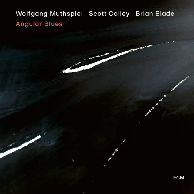 ECM Records Wolfgang Muthspiel Angular Blues CD Gitarre