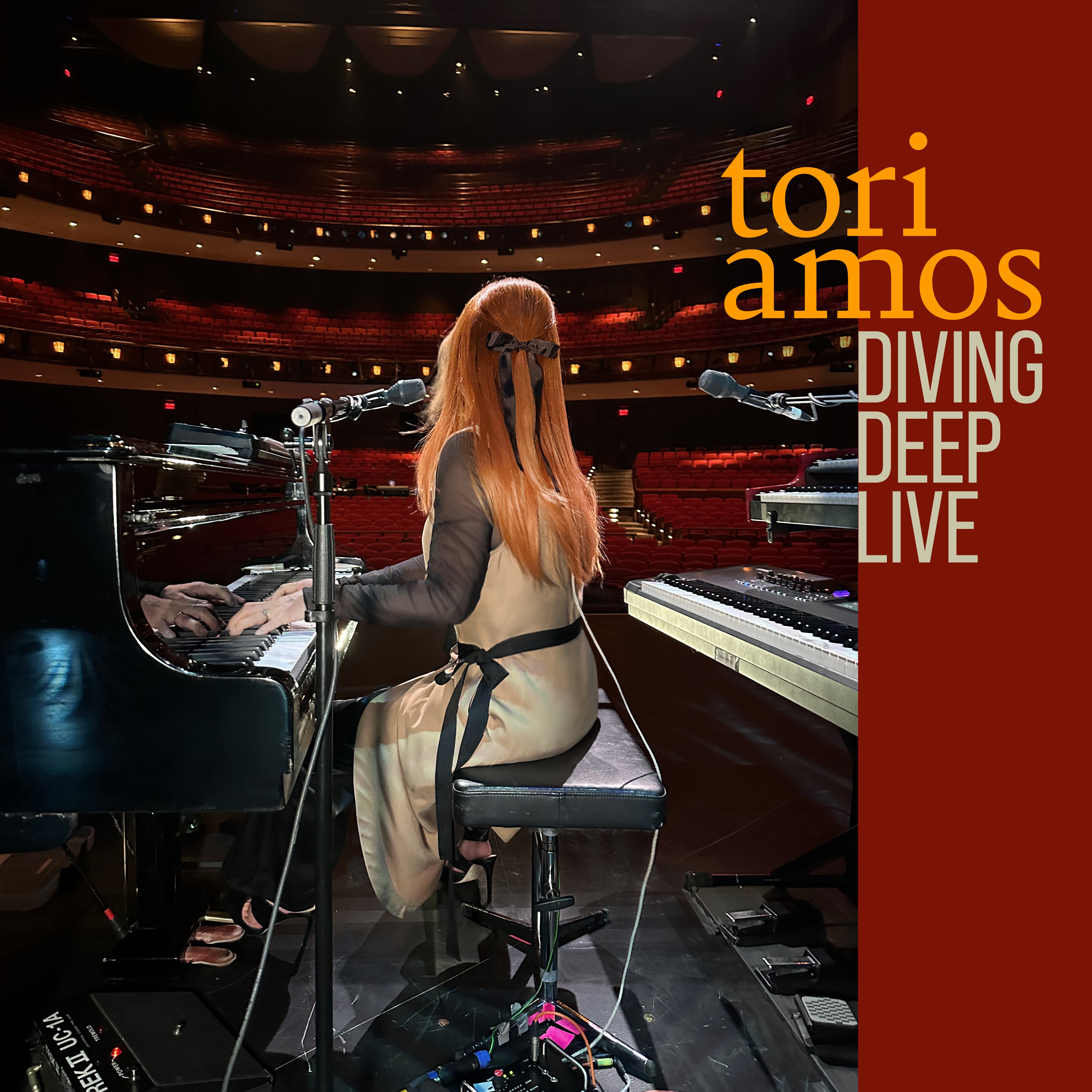 Deutsche Grammophon Tori Amos Diving Deep Vinyl 2LP Livealbum