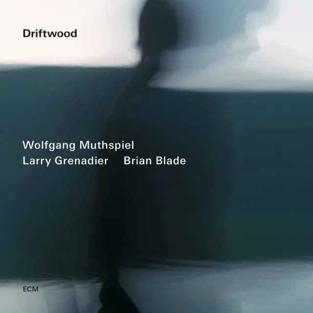 ECM Records Driftwood Muthspiel LP Vinyl Jazz