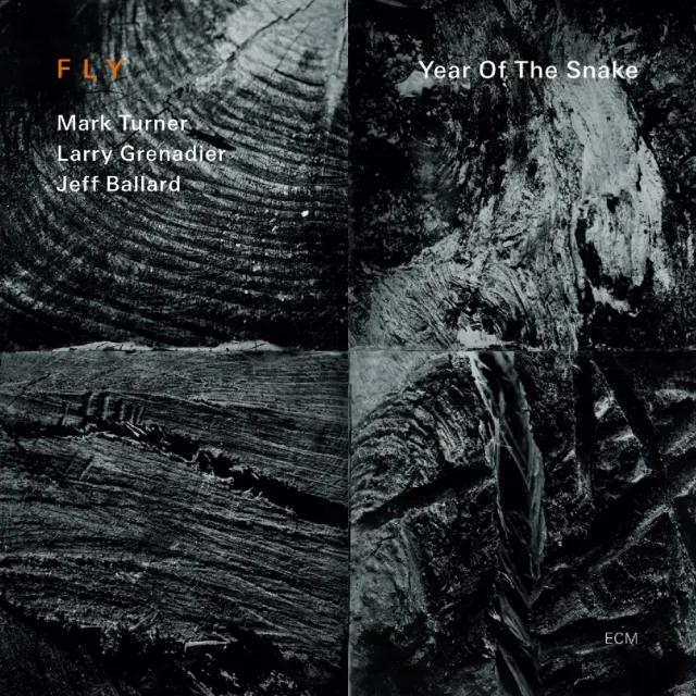 ECM Fly Year Of The Snake CD Saxophon-Trio
