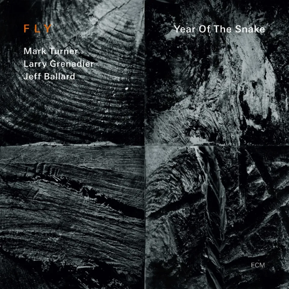 ECM Fly Year Of The Snake CD Saxophon-Trio