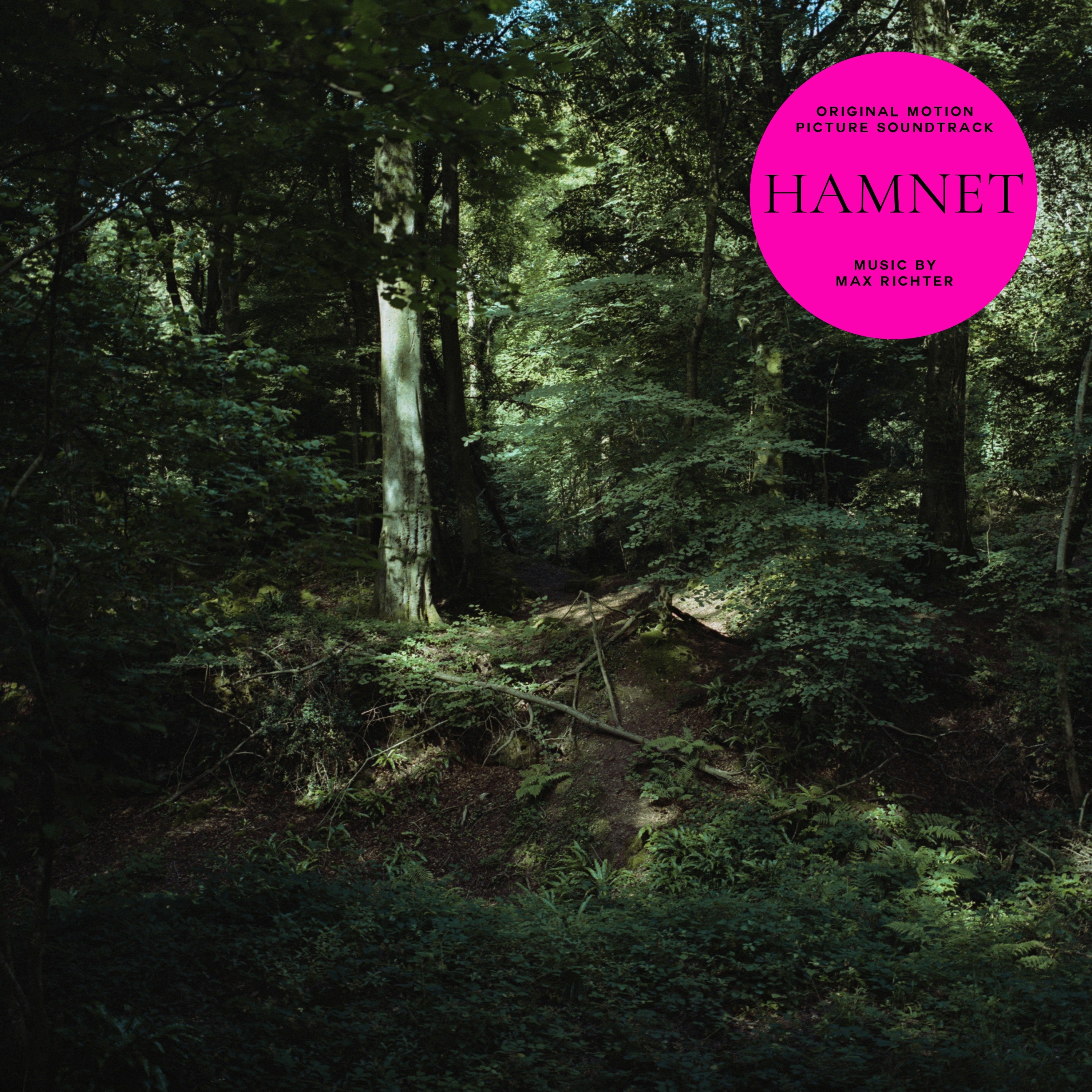Deutsche Grammophon Max Richter Hamnet Soundtrack Farbvinyl