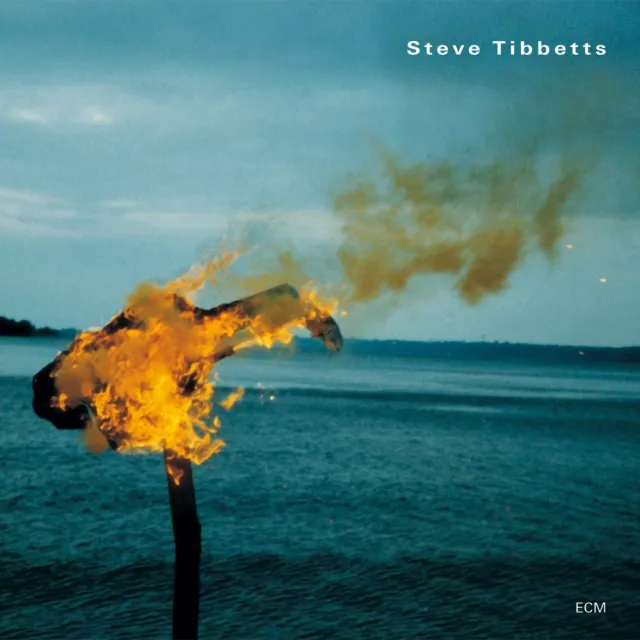 ECM Records A Man About A Horse CD Gitarre Ambient