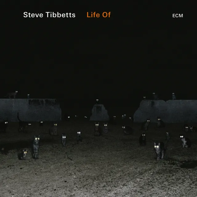 ECM Records Life Of CD Gitarre Ambient