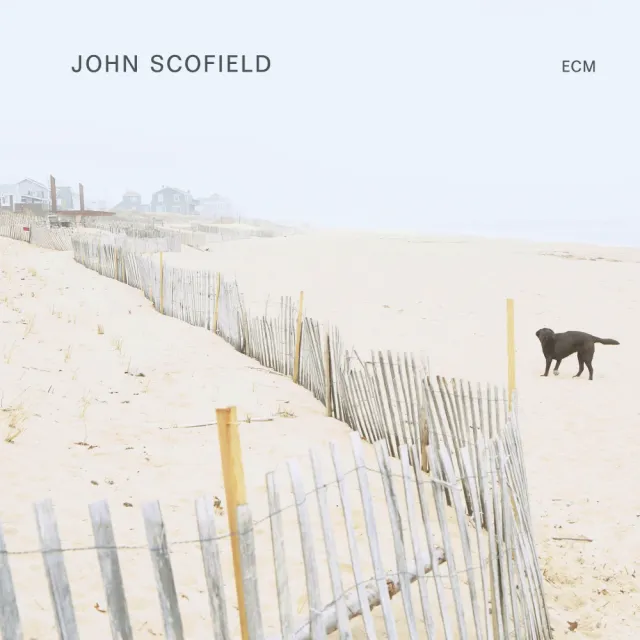 ECM Records John Scofield Solo Vinyl LP Gitarre