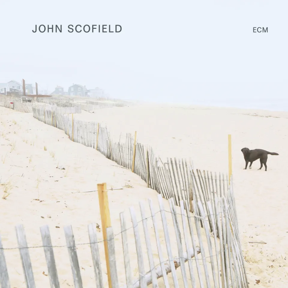 ECM Records John Scofield Solo Vinyl LP Gitarre