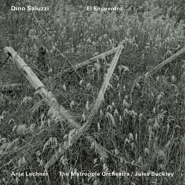 ECM Dino Saluzzi El Encuentro Vinyl-LP Bandoneon