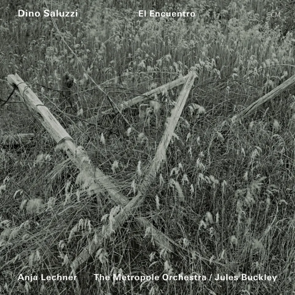 ECM Dino Saluzzi El Encuentro Vinyl-LP Bandoneon
