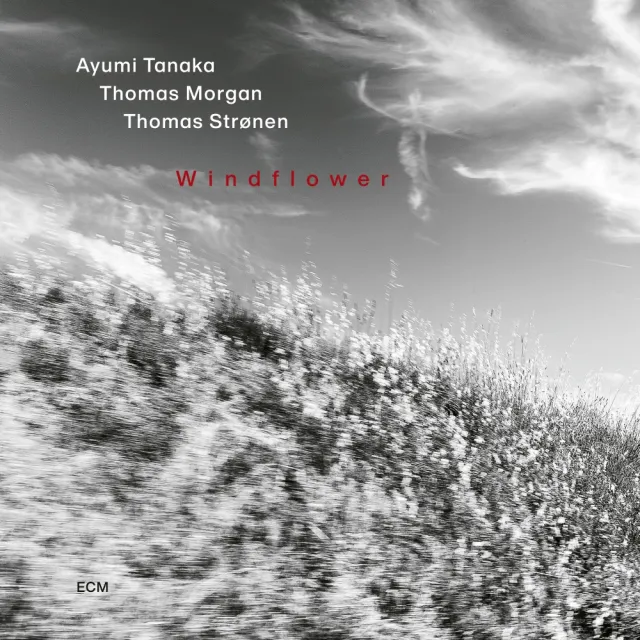 ECM Ayumi Tanaka Windflower CD Piano Trio