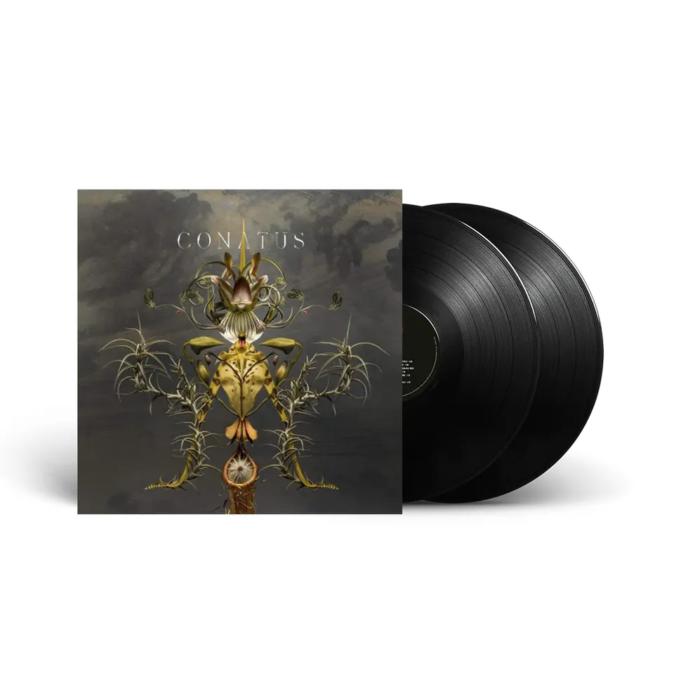 Deutsche Grammophon Beving Conatus Vinyl LP Klavier 2018