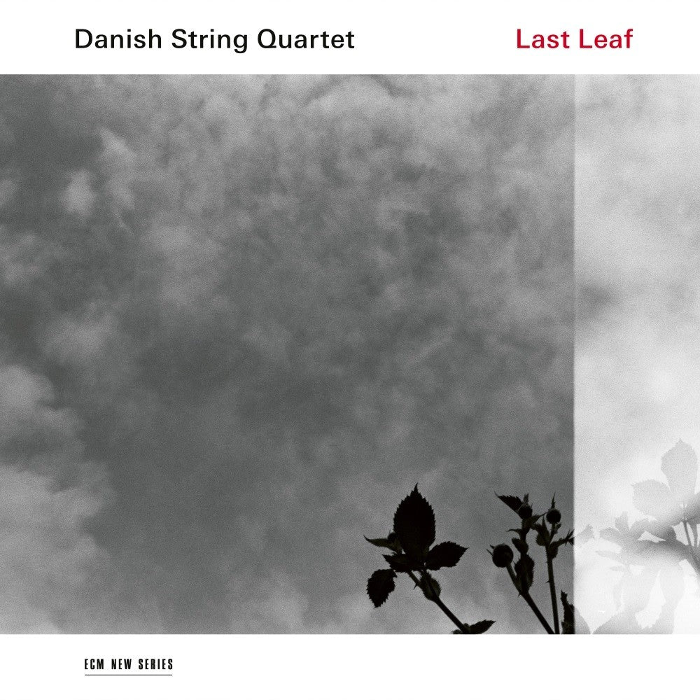 Deutsche Grammophon Danish String Quartet Last Leaf Vinyl Folkalbum