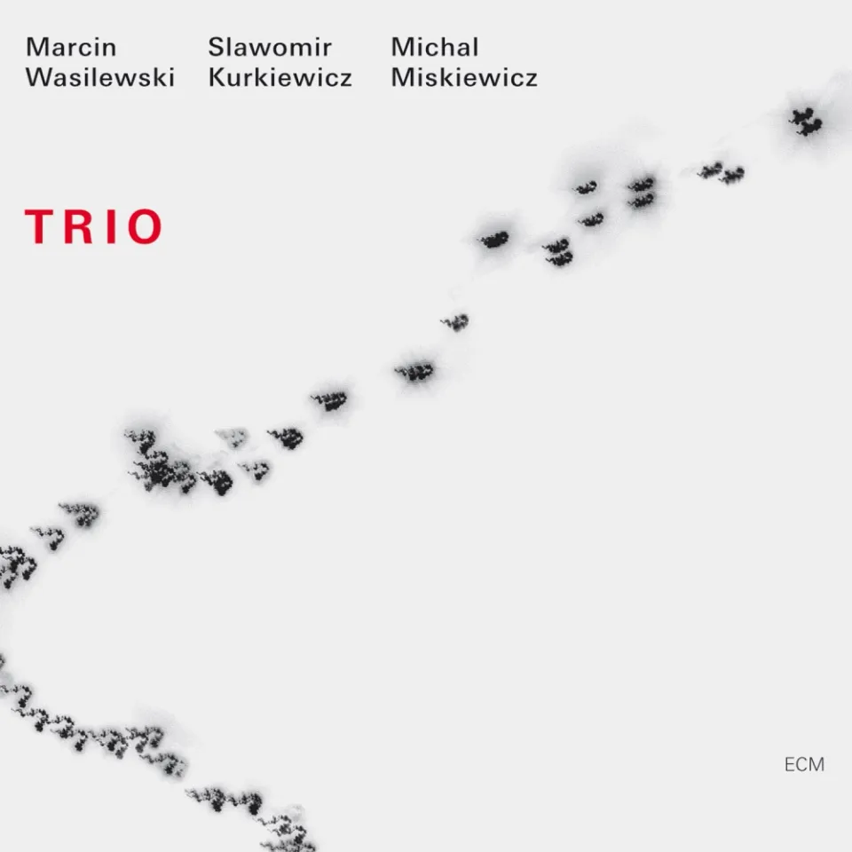 ECM Records Trio CD Wasilewski Kurkiewicz Miskiewicz