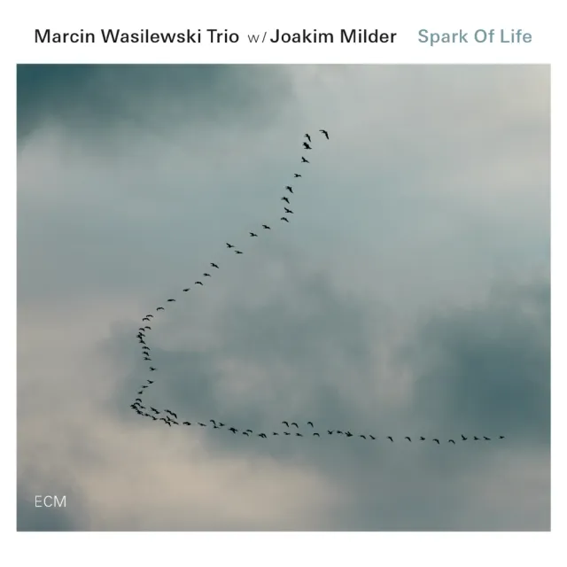 ECM Records Wasilewski Trio Spark Of Life Vinyl Gast Milder