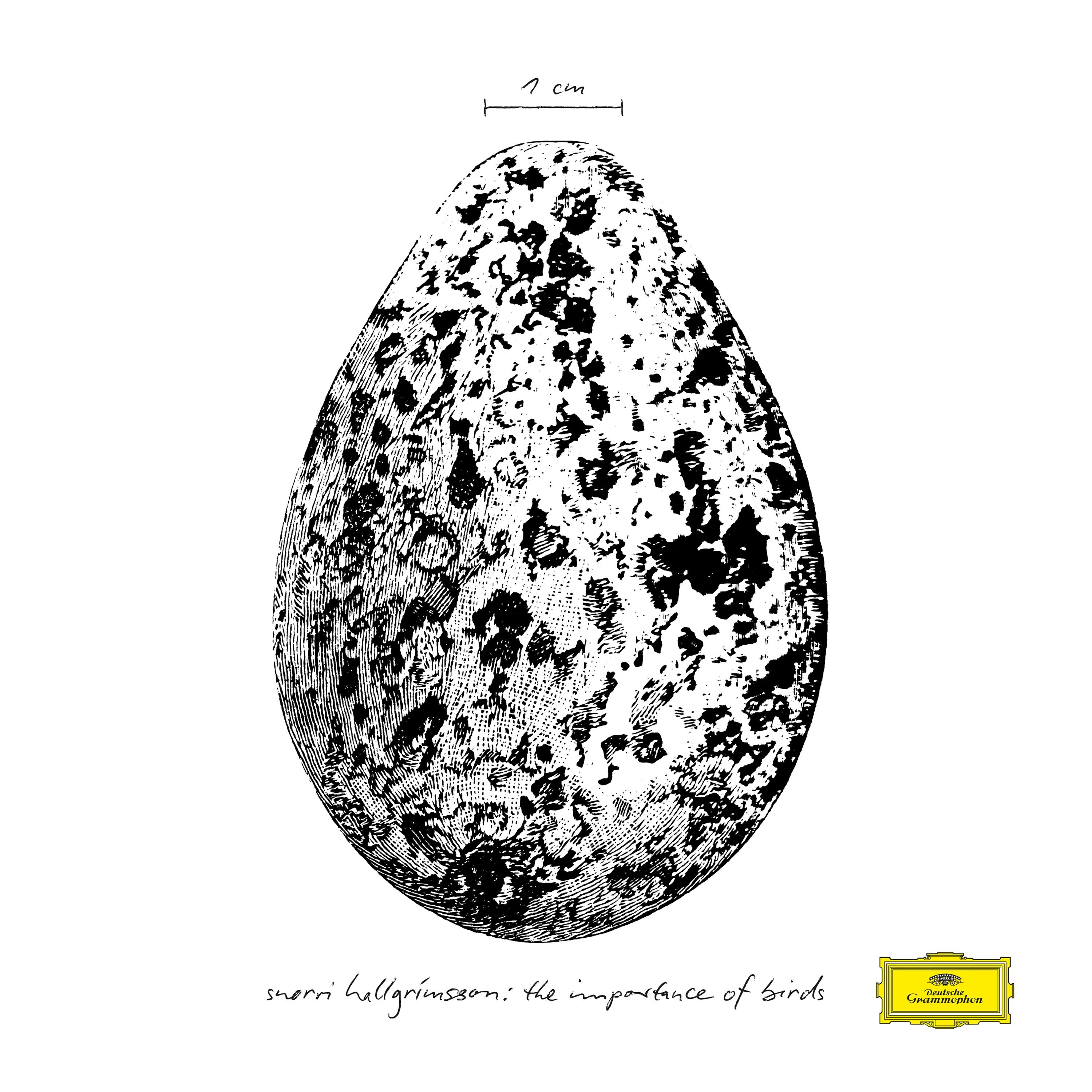 Deutsche Grammophon Importance Of Birds Vinyl 180g Hallgrimsson EP