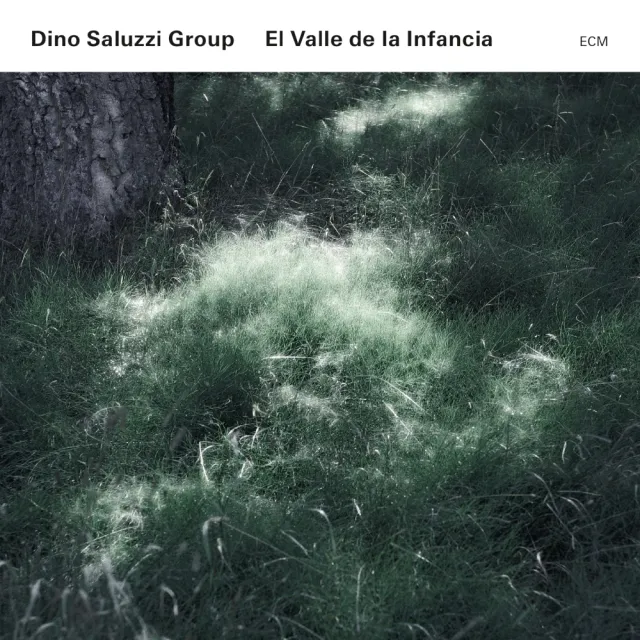 ECM Saluzzi El Valle de la Infancia Vinyl LP Bandoneon