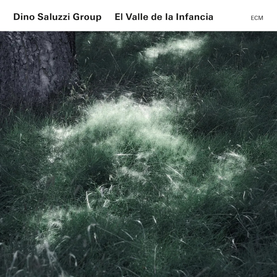 ECM Saluzzi El Valle de la Infancia Vinyl LP Bandoneon